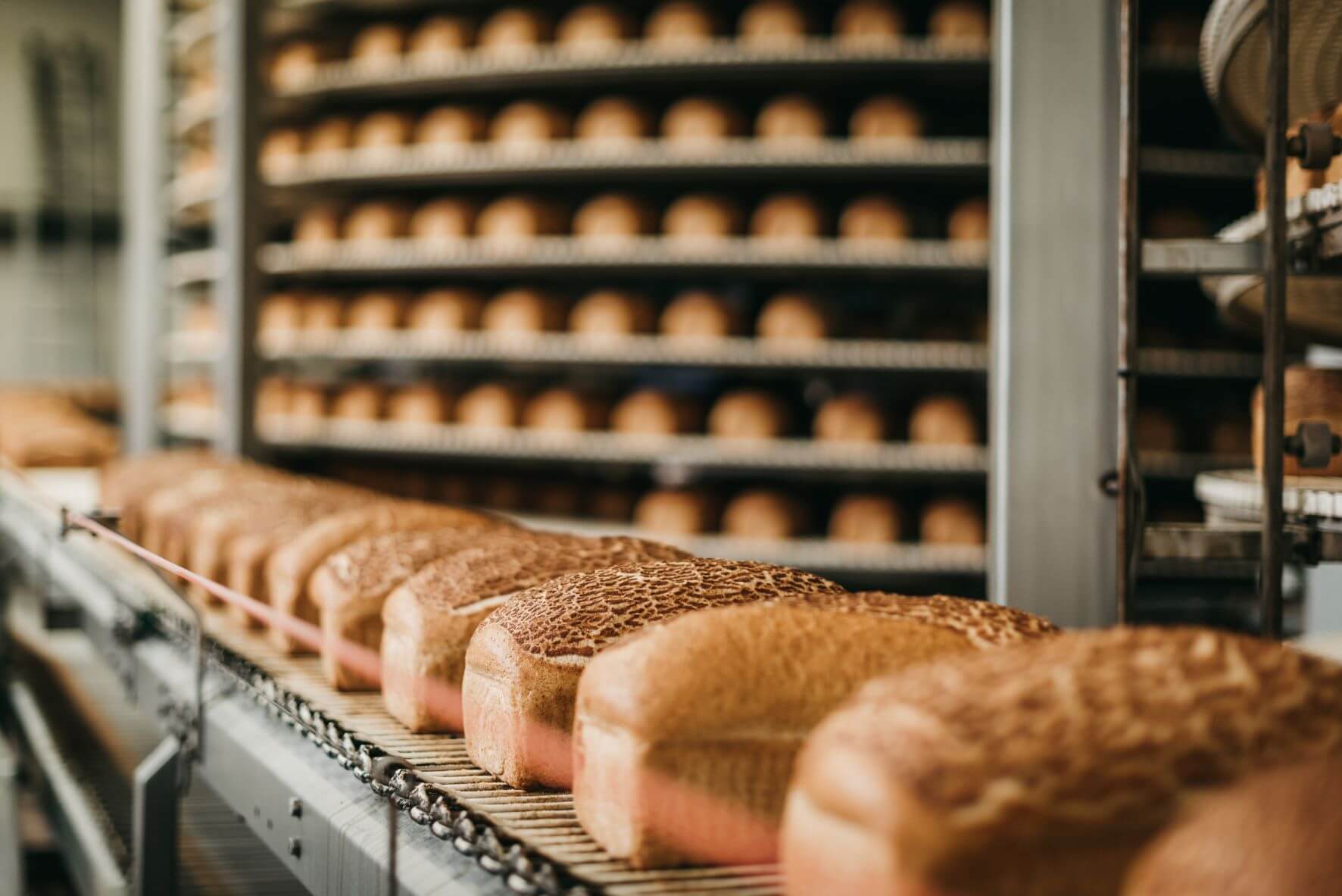 bread production line
